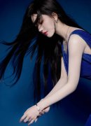 阿拉伯国度加强协调