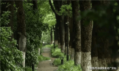 <b>分为全平易近所有制（即国度所有）和劳动群众</b>